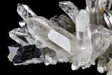 Anatase Crystal and Quartz Association - Norway #111422-2